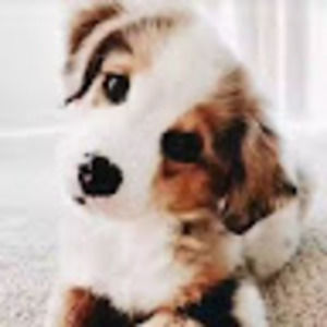 Meet your Posher, Logan